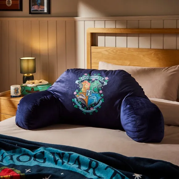 Cuddle Cushion with Character Design - Blue image