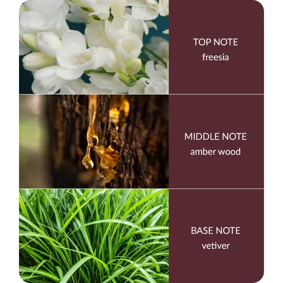 Bamboo Reed Diffuser - Red, Glass