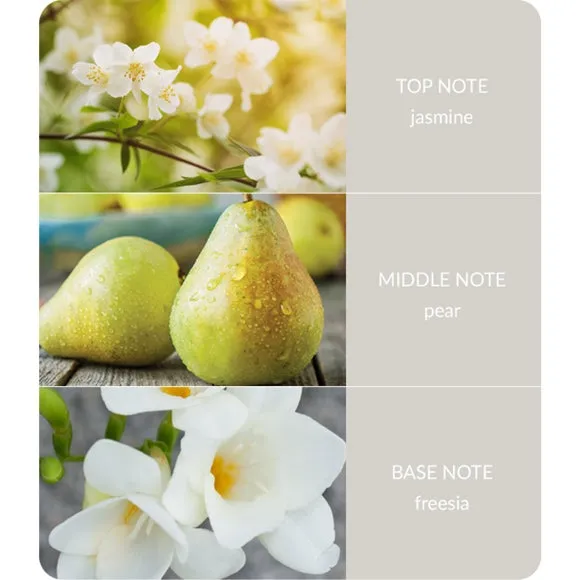 Multi Wick Candle Jasmine Freesia - White Glass