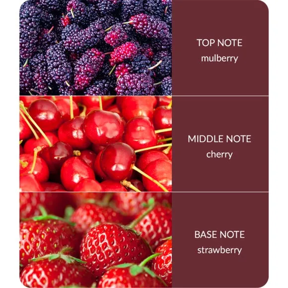 Multi Wick Candle - Purple, Soy Wax