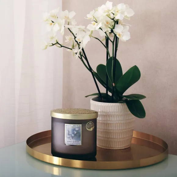 Multi Wick Candle with Embossed Lid - Grey image