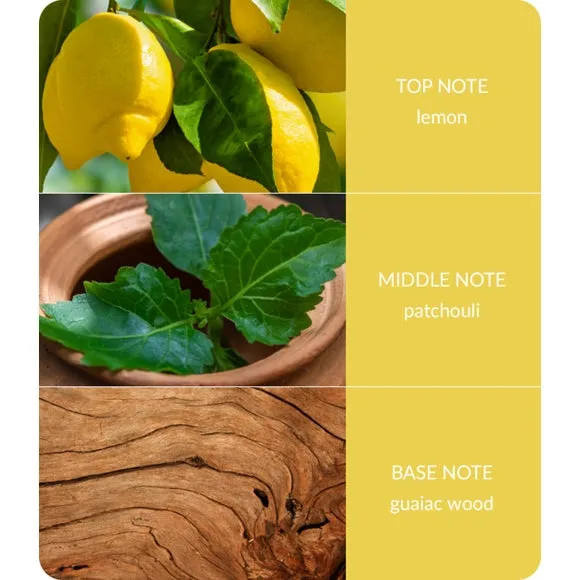 Reed Diffuser Patchouli & Guaiac - Clear Glass