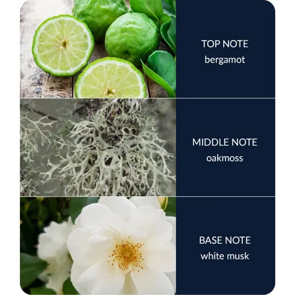 Reed Diffuser with Fibre Reeds - Black