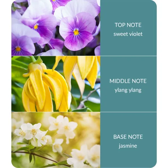 Reed Diffuser with Fibre Reeds - Blue, 70ml