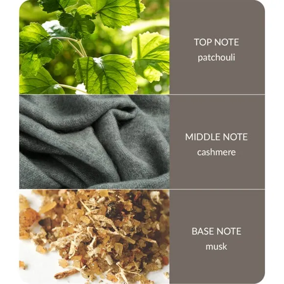Reed Diffuser with Fibre Reeds - Grey, 70ml