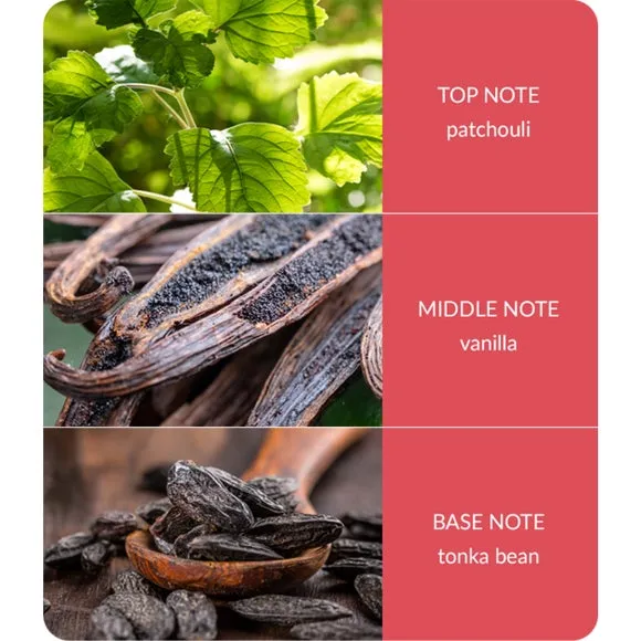 Reed Diffuser with Fibre Reeds - Pink