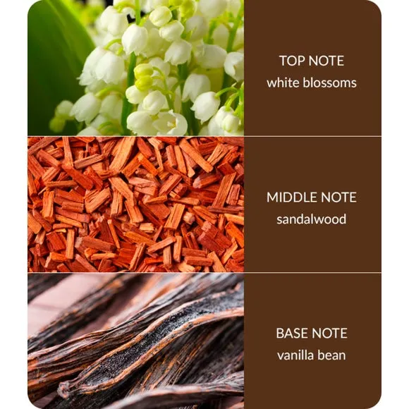 Reed Diffuser with Rattan Reeds - Clear Glass