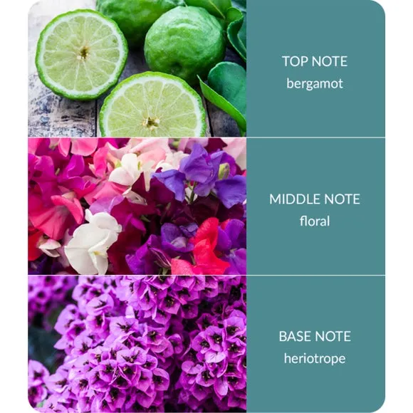 Reed Diffuser with Reeds - Pink, Glass