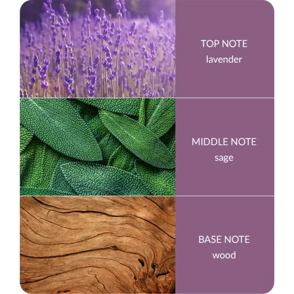 Reed Diffuser with Reeds - Purple, Glass