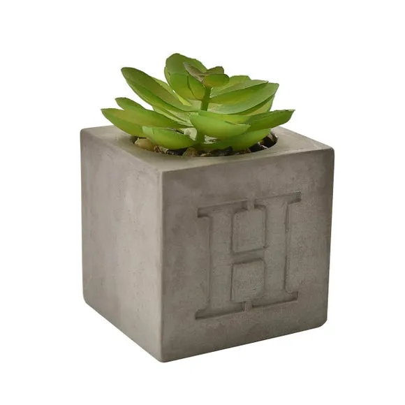 Set of 4 Artificial Succulents - Grey, Cement