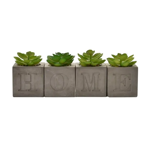 Set of 4 Artificial Succulents - Grey, Cement