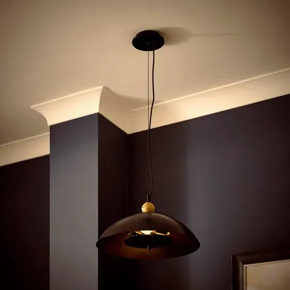 2-Light Pendant Light with Switch - Black, Metal