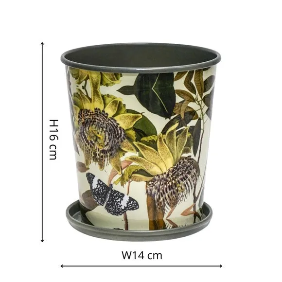 Botanical Planter with Saucer - Green, Metal