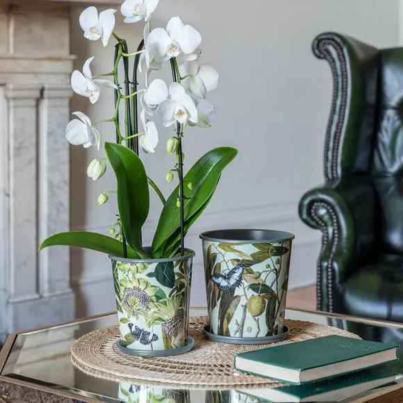 Botanical Planter with Saucer - Green, Metal