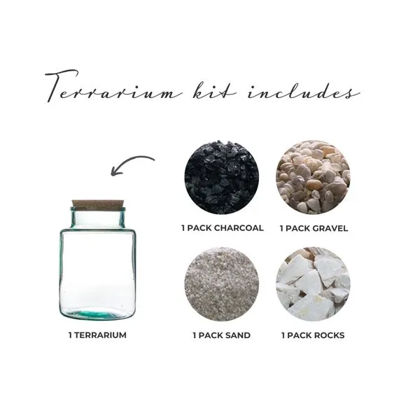 Bottle Shape Terrarium DIY Kit - Clear, Glass