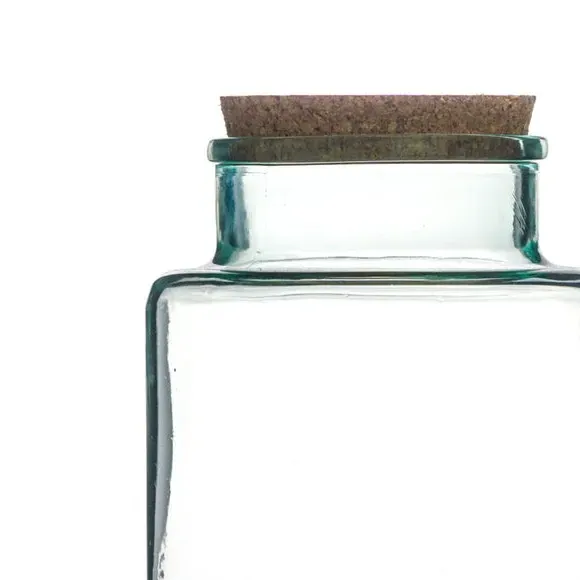 Bottle Shape Terrarium DIY Kit - Clear, Glass
