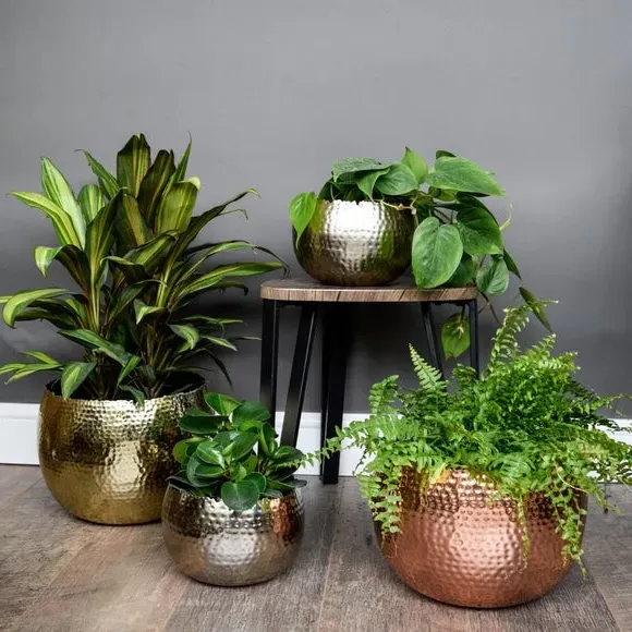 Bowl Plant Pot with Hammered Finish - Copper, Iron