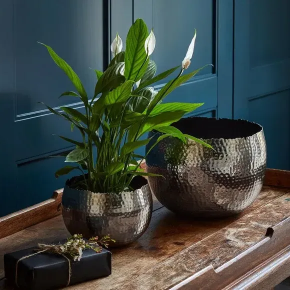 Bowl Plant Pot with Hammered Finish - Nickel, Iron