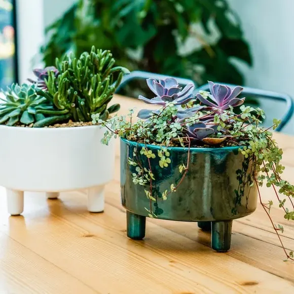 Bowl Plant Pot with Premium Glaze - Emerald