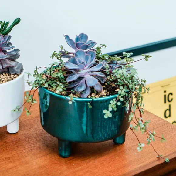 Bowl Plant Pot with Premium Glaze - Emerald