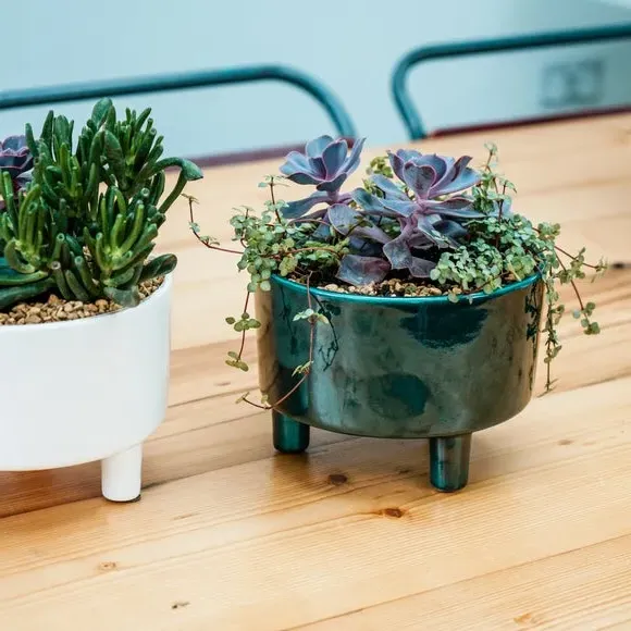 Bowl Plant Pot with Premium Glaze - Emerald