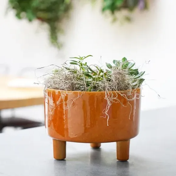 Bowl Plant Pot with Premium Glaze - Mustard