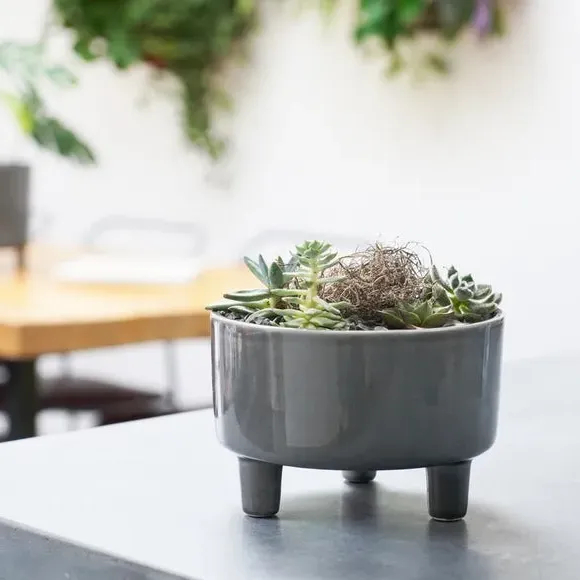 Bowl Plant Pot with Premium Glaze - Slate