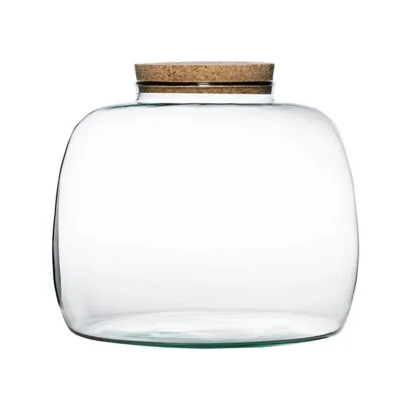 Bowl Terrarium DIY Kit - Clear, Glass