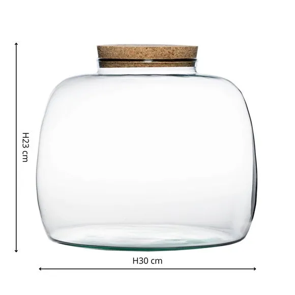 Bowl Terrarium DIY Kit - Clear, Glass