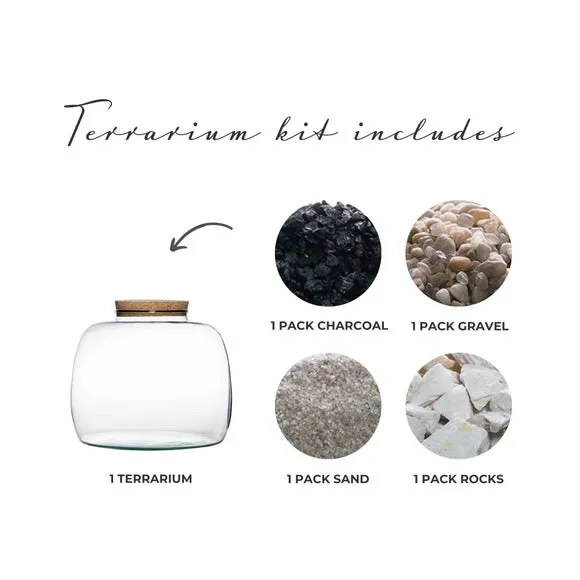 Bowl Terrarium DIY Kit - Clear, Glass