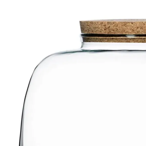 Bowl Terrarium DIY Kit - Clear, Glass