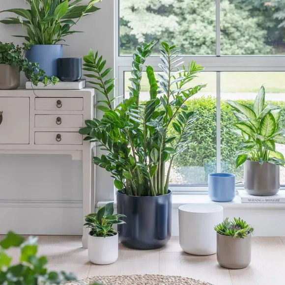 Ceramic Plant Pot - Blue, Ceramic