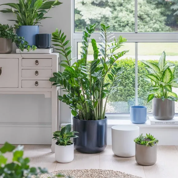 Ceramic Plant Pot - Greige, Ceramic