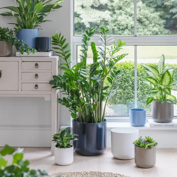 Ceramic Plant Pot - Navy, Ceramic