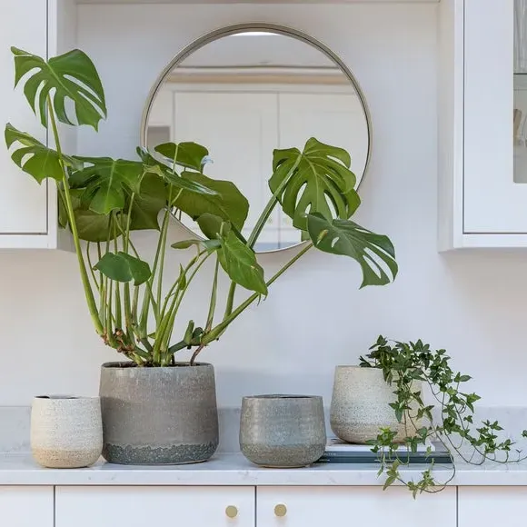 Ceramic Plant Pot with Textured Finish - Cream