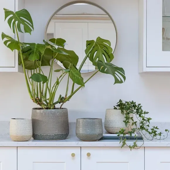 Ceramic Plant Pot with Textured Finish - Grey