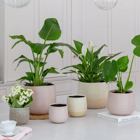 Ceramic Plant Pot with Textured Finish - Pink