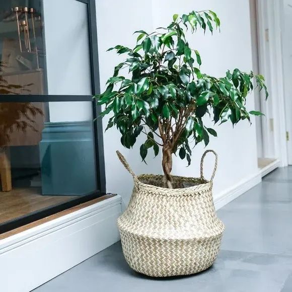 Chevron Storage Basket with Lining - Natural