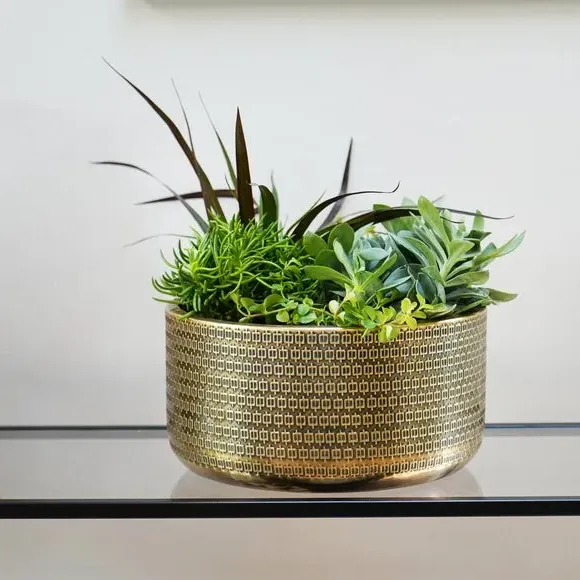 Embossed Bowl Plant Pot - Gold, Steel image