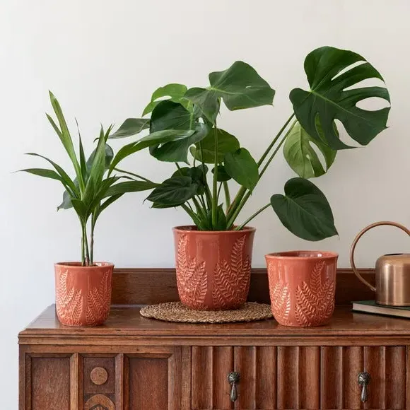 Embossed Fern Plant Pot - Rust, Stoneware image