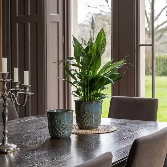 Embossed Fern Plant Pot - Teal, Stoneware