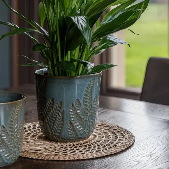 Embossed Fern Plant Pot - Teal, Stoneware