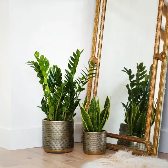 Embossed Plant Pot - Gold, Steel