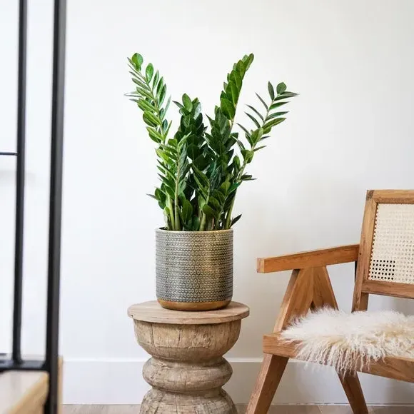 Embossed Plant Pot - Gold, Steel image