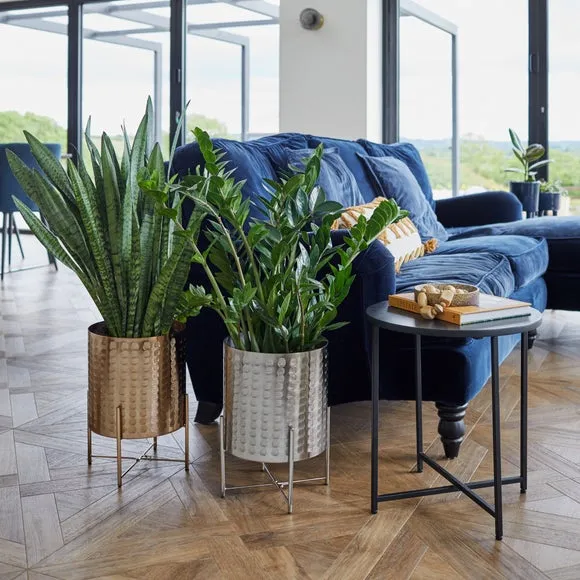 Embossed Plant Pot with Stand - Gold, Metal