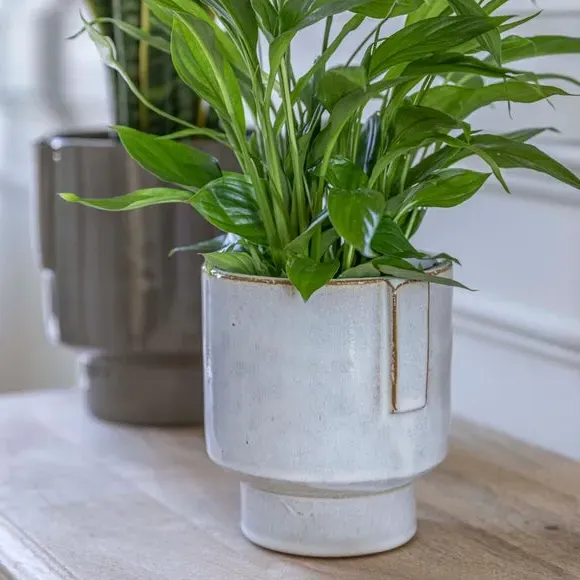 Glazed Plant Pot with Handles - White, Ceramic