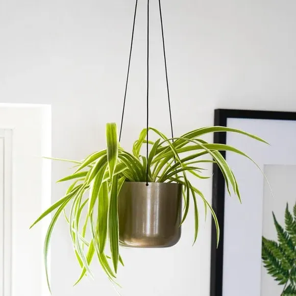 Hanging Plant Pot with Hook - Brass, Metal image