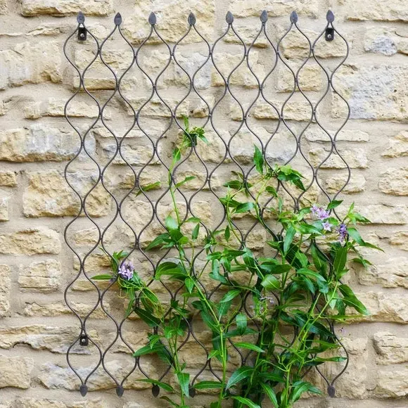 Honeycomb Garden Trellis - Zinc, Steel