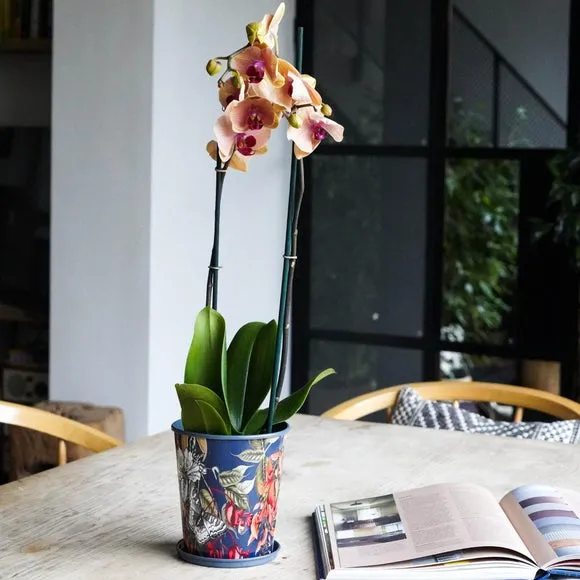 Indoor Planter with Saucer - Navy, Metal