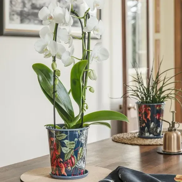 Indoor Planter with Saucer - Navy, Metal